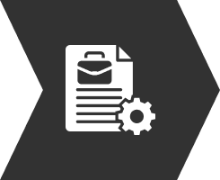 Icnprofessionalexecution